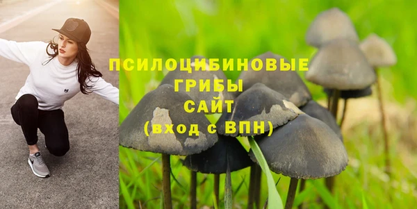 мескалин Абаза