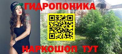стафф Лесосибирск