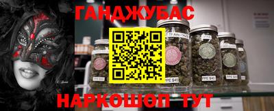 стафф Лесосибирск