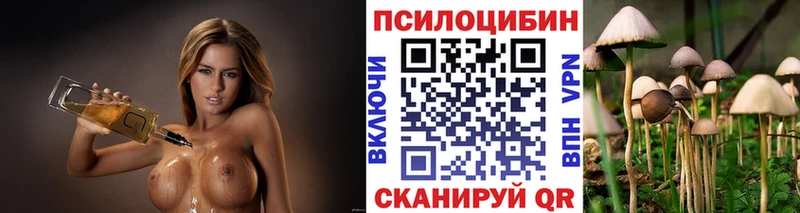 купить закладку  Гагарин  KRAKEN ССЫЛКА  Галлюциногенные грибы мухоморы 