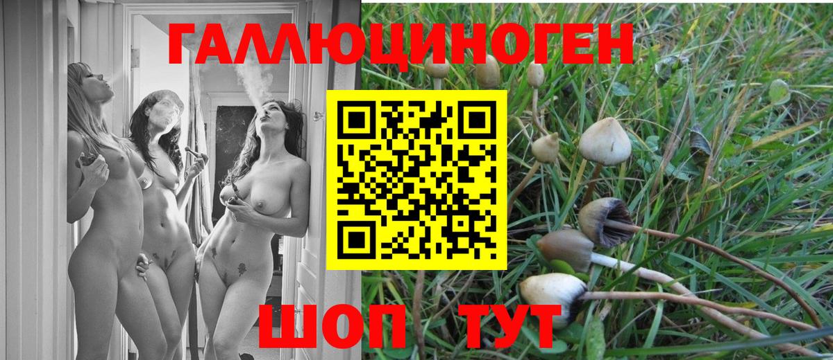 Псилоцибиновые грибы Magic Shrooms  Вход с VPN  Гагарин 